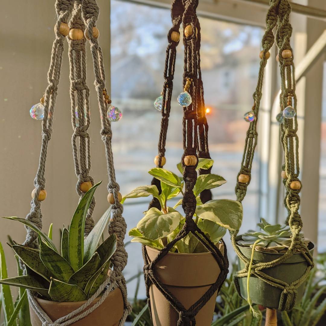 post plant hanger Prismatic and Energetic Plant Hangers – Sage and Rebel