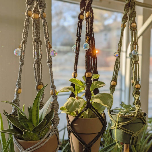 Prismatic and Energetic Plant Hangers