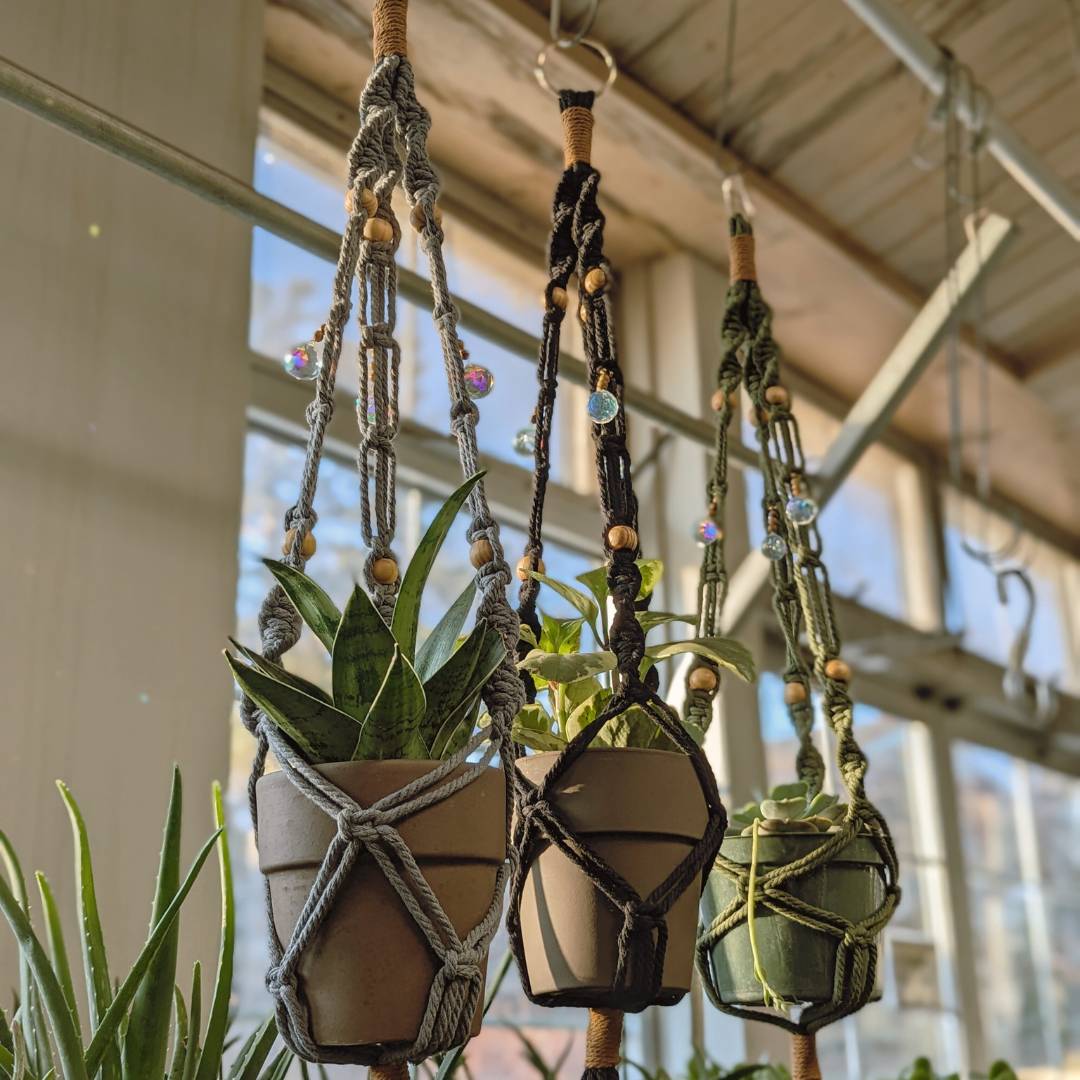 Prismatic and Energetic Plant Hangers