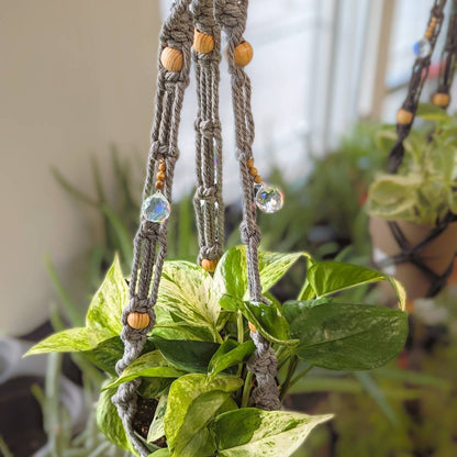 Prismatic and Energetic Plant Hangers