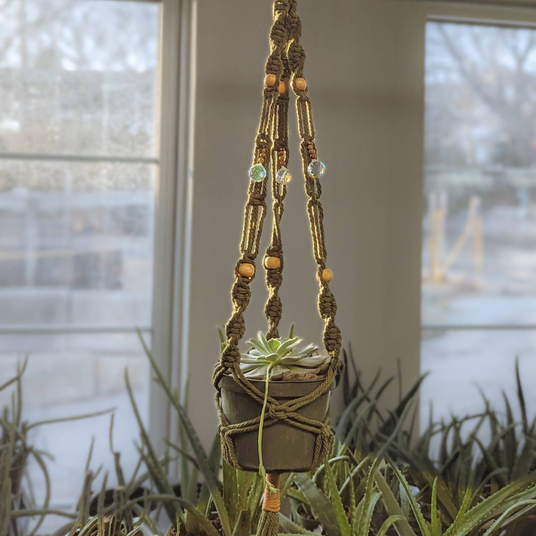 Prismatic and Energetic Plant Hangers