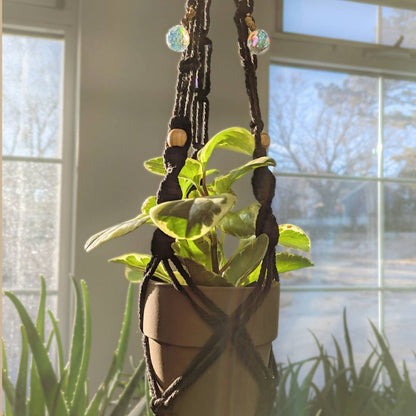 Prismatic and Energetic Plant Hangers