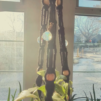 Prismatic and Energetic Plant Hangers